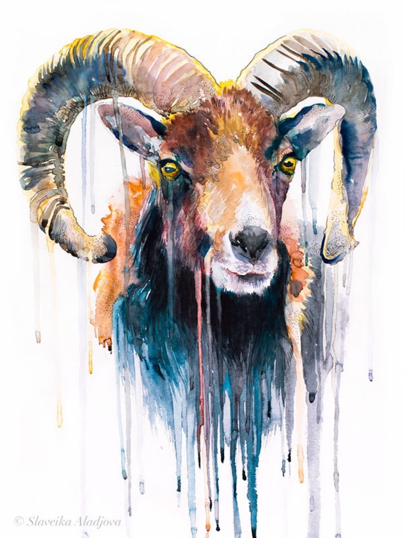 Коза и баран