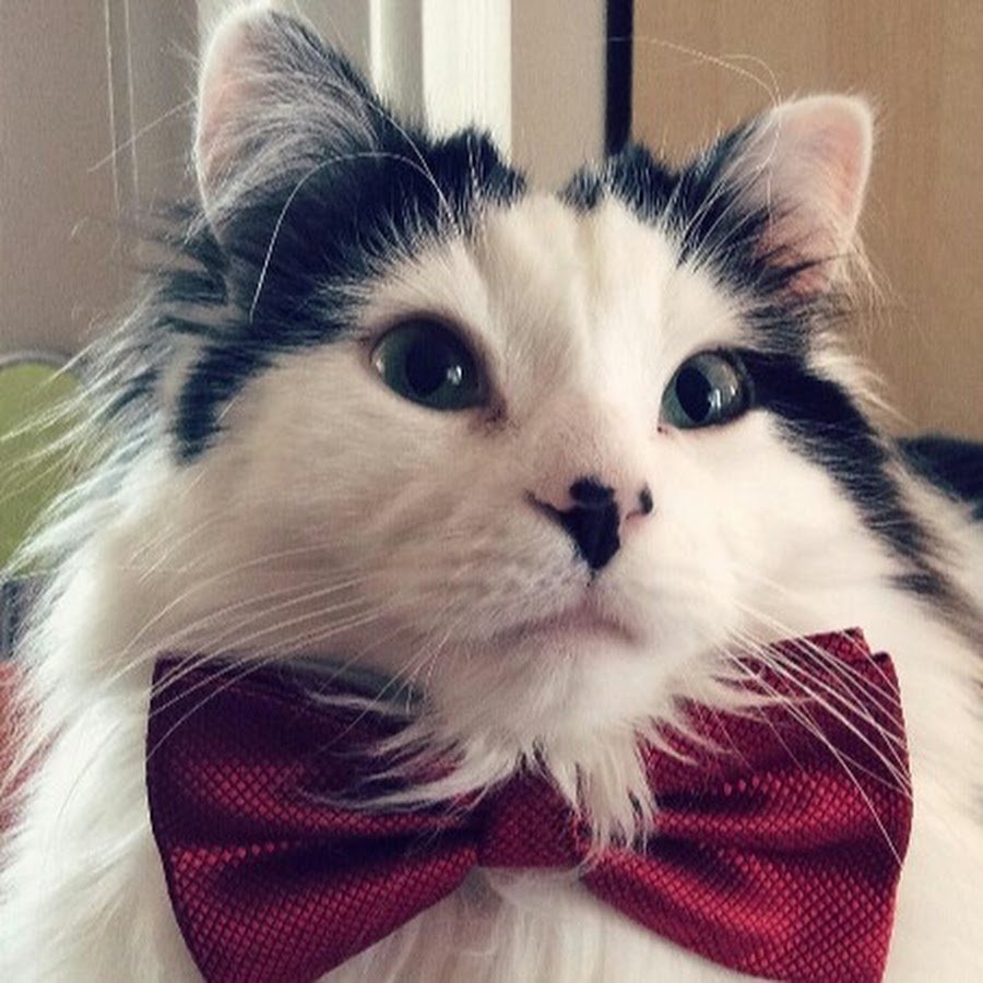 Фото спасибочки