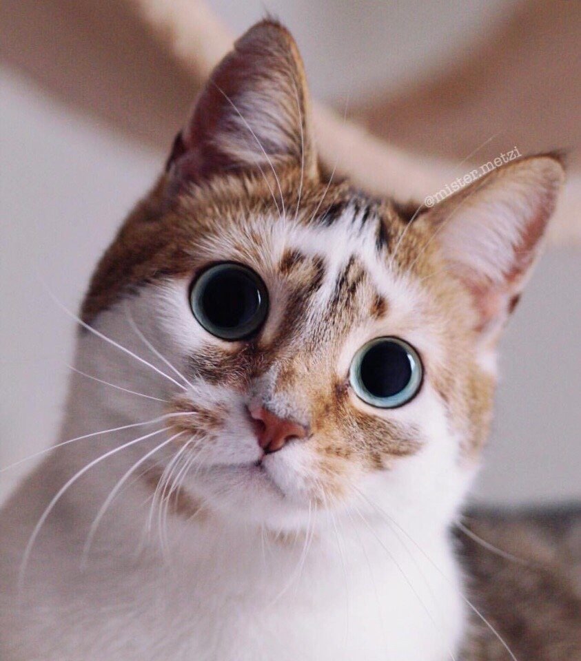 Утро воскресенья