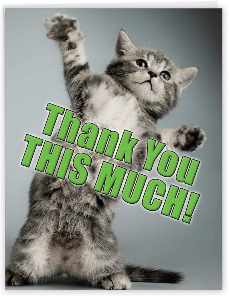 Спасибо кот