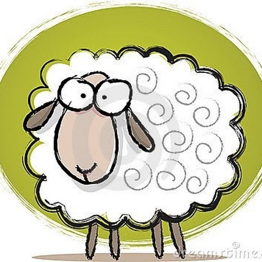 Длиннохвостые овцы