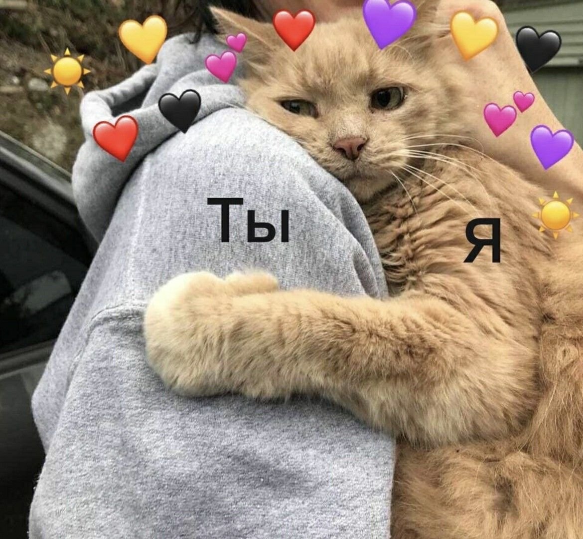 Котенок кусает за палец