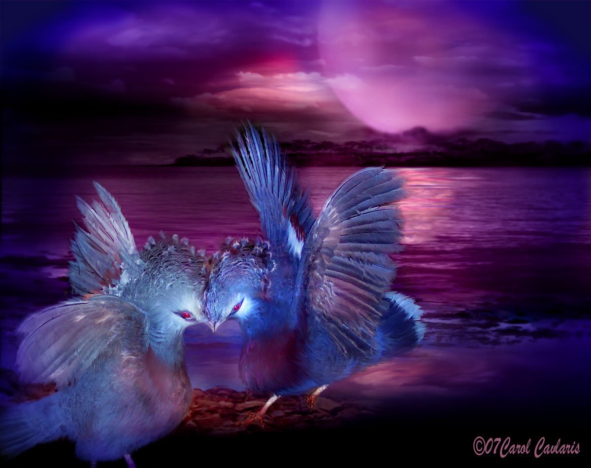 Розовый Какаду Гала