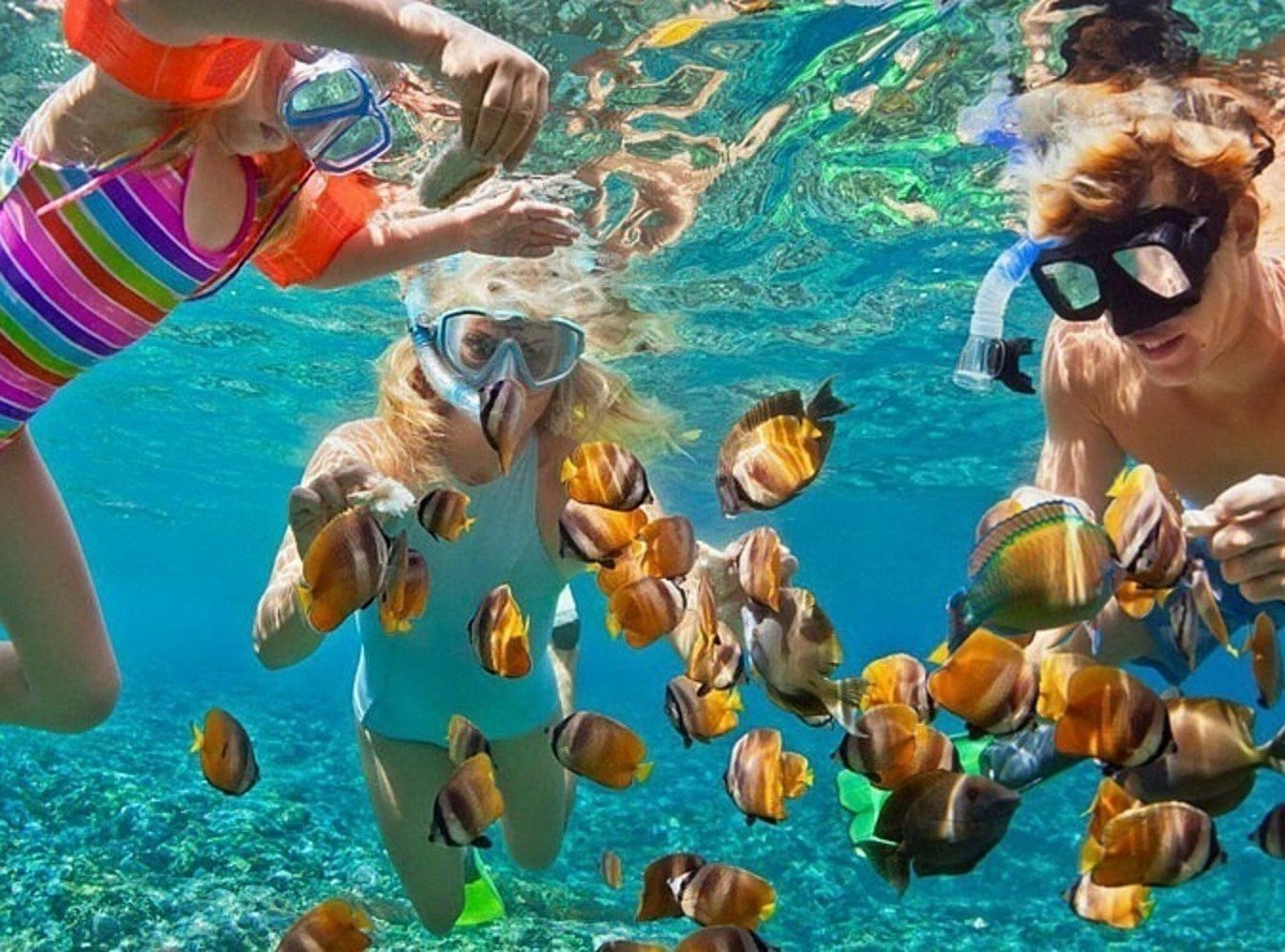 Снорклинг в Египте Шарм-Эль-Шейх