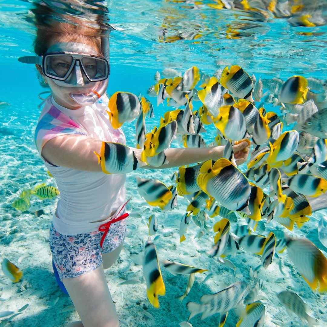 Снорклинг Шарм Эль Шейх