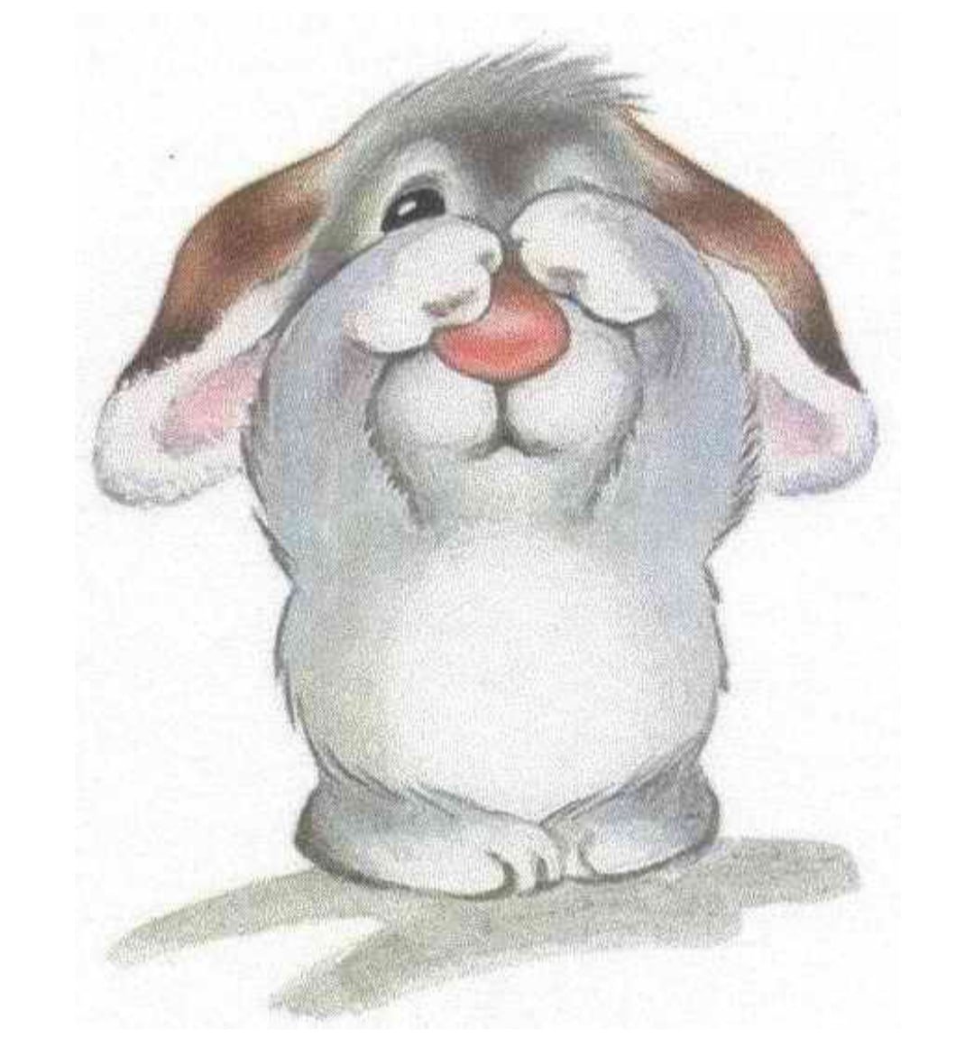 Тайная жизнь домашних животных кролик