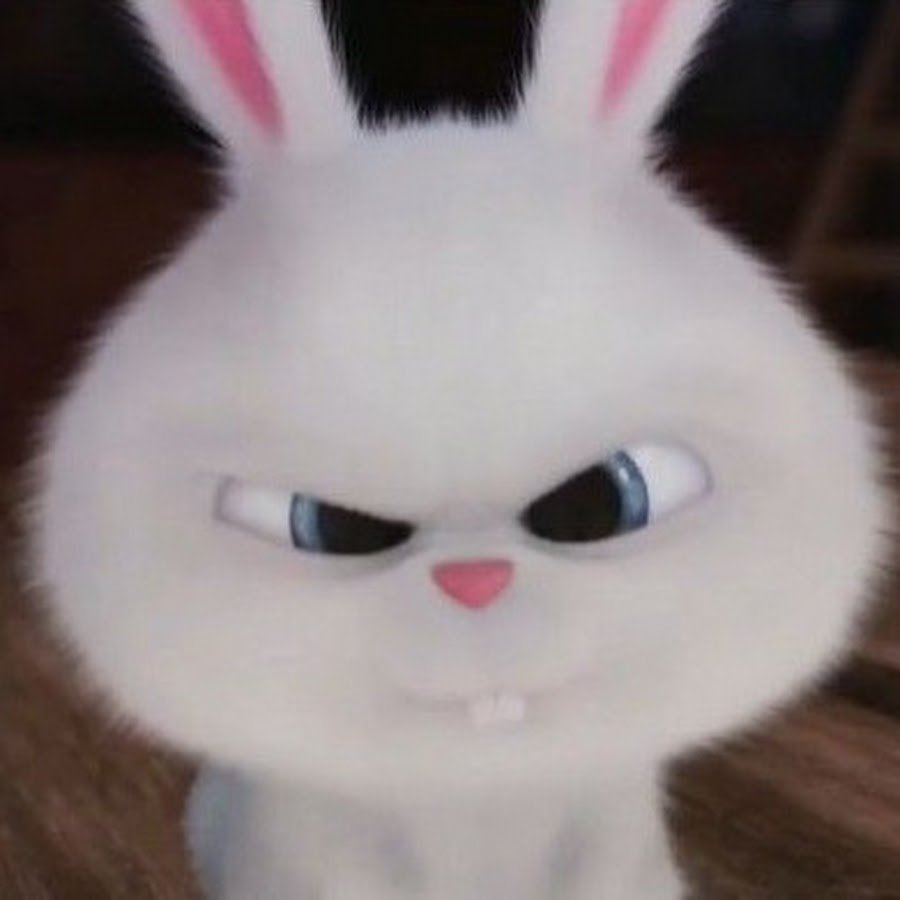 Зайка из мультика Тайная жизнь