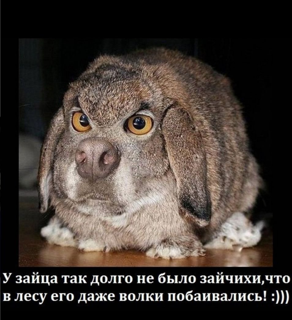 Обида прикол