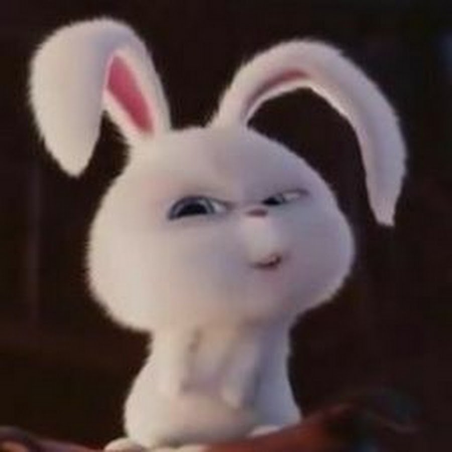 Злая зая мультик