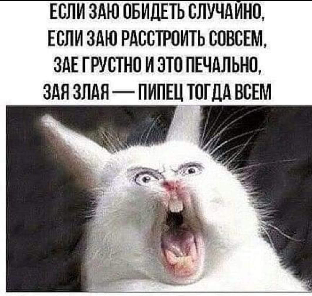 Милые зайчики