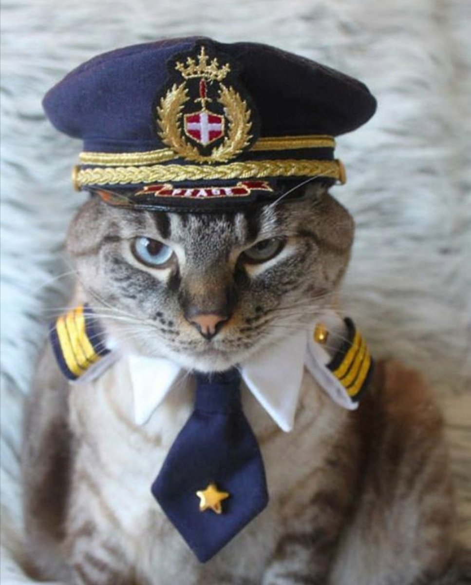 Кот Матроскин в тельняшке