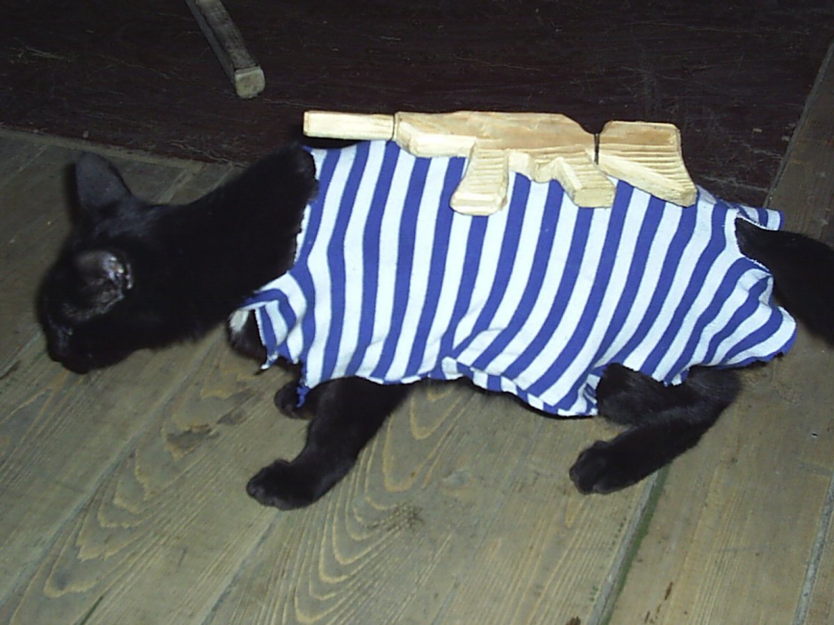 Вязаный кот в тельняшке