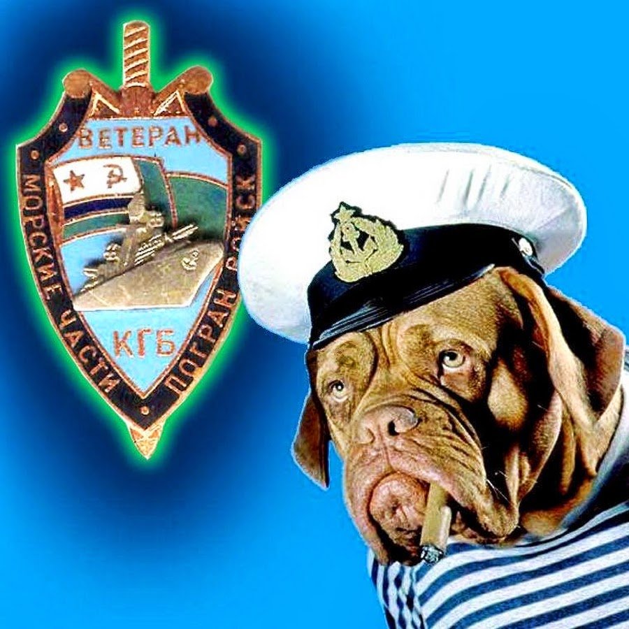 Черный кот в тельняшке