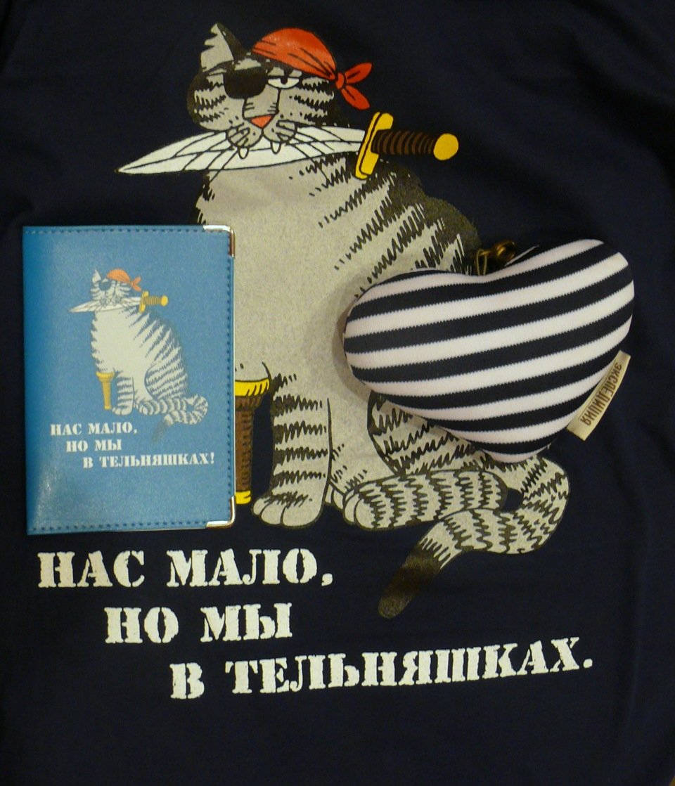 Кот в носке