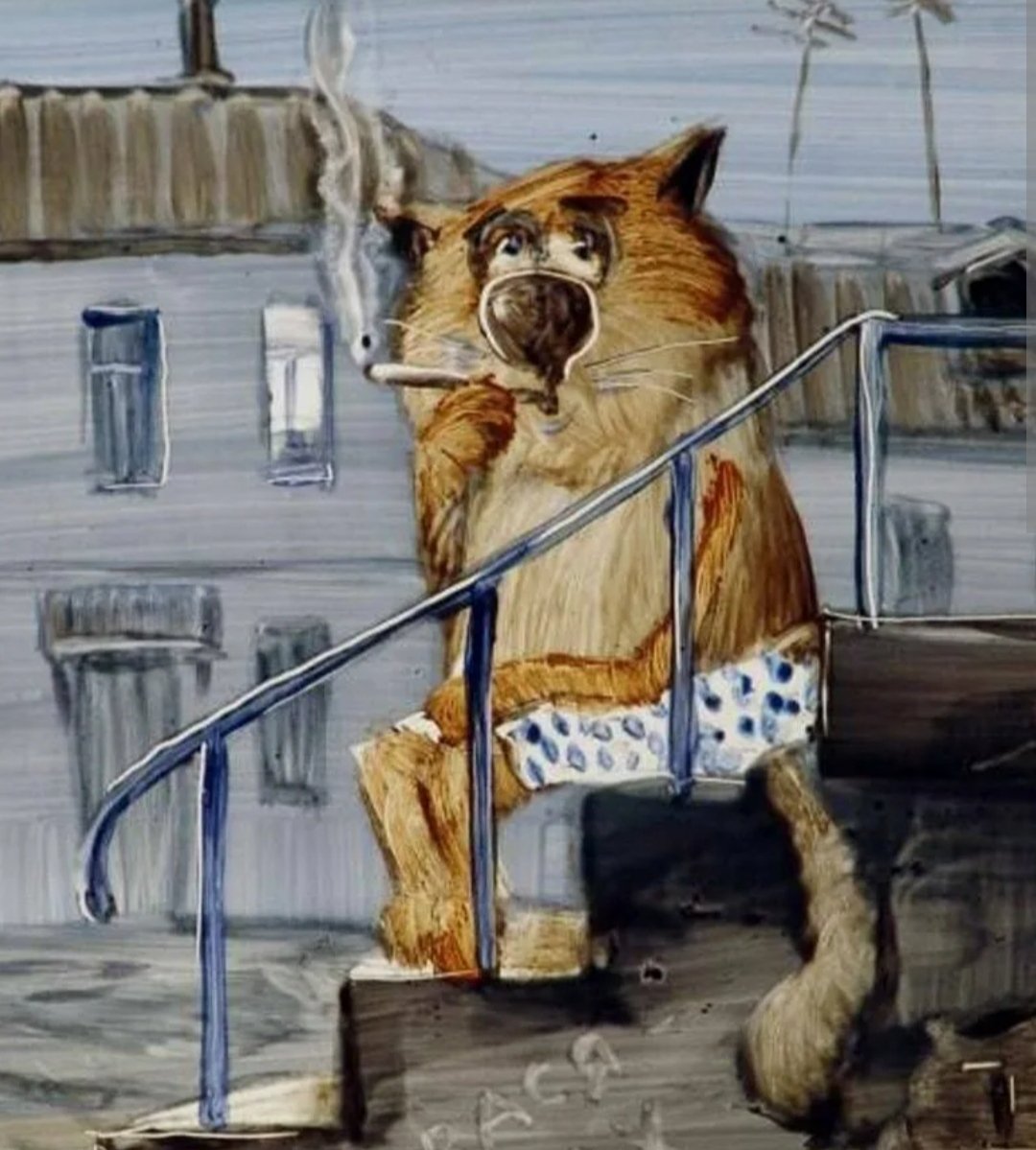 Коты матросы