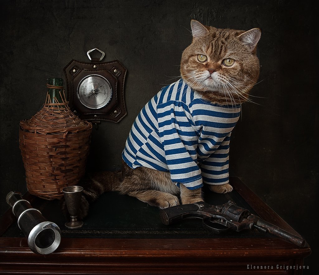 Тельняшки для котов