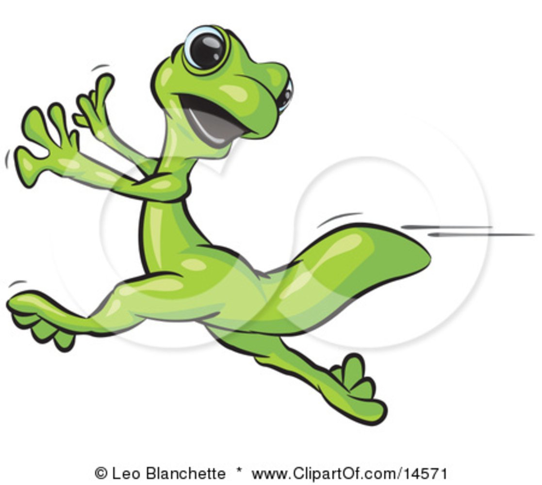 Керри от Лягушонок