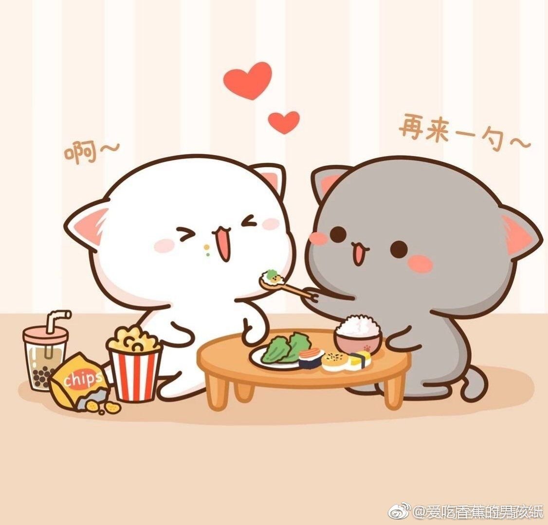 Кавайные котики парочка