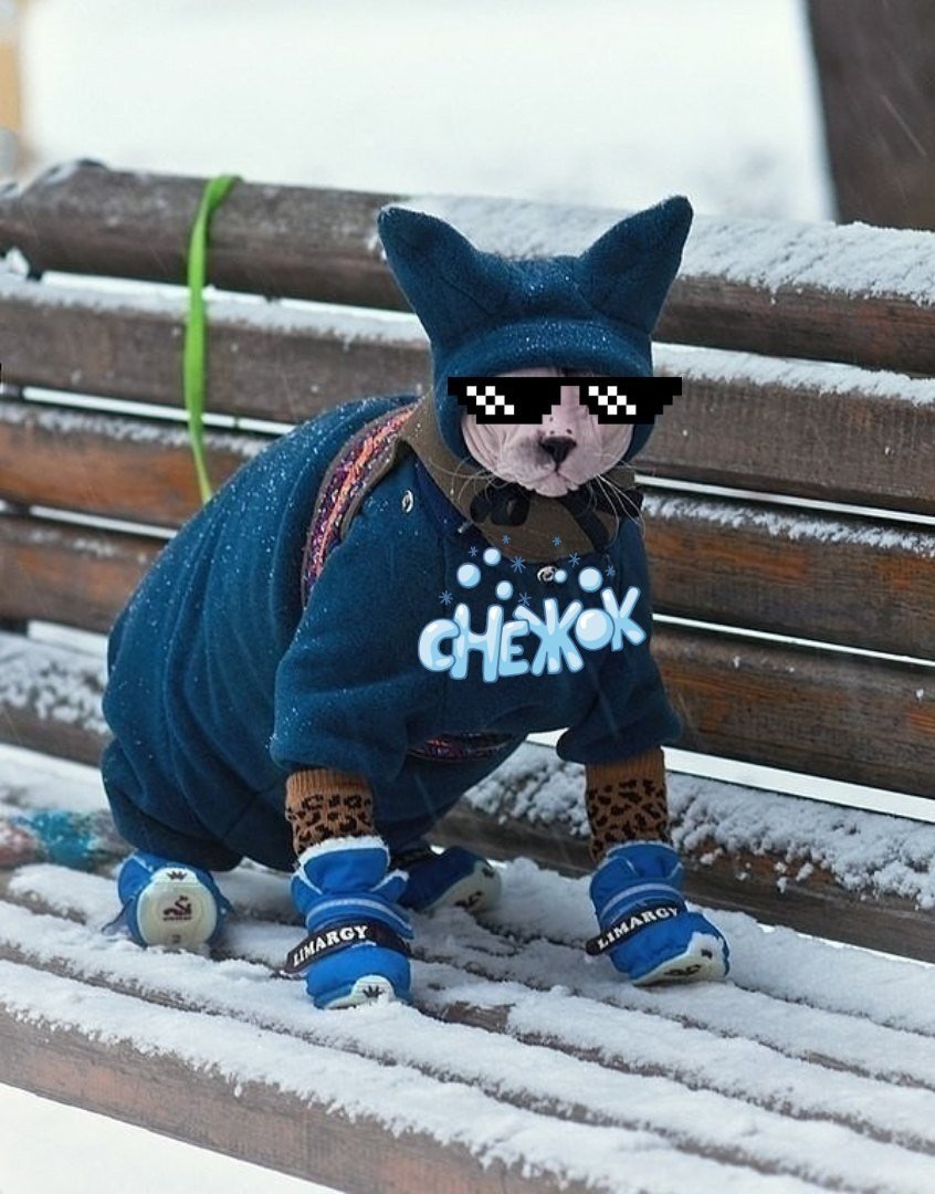 Комбинезон для кота