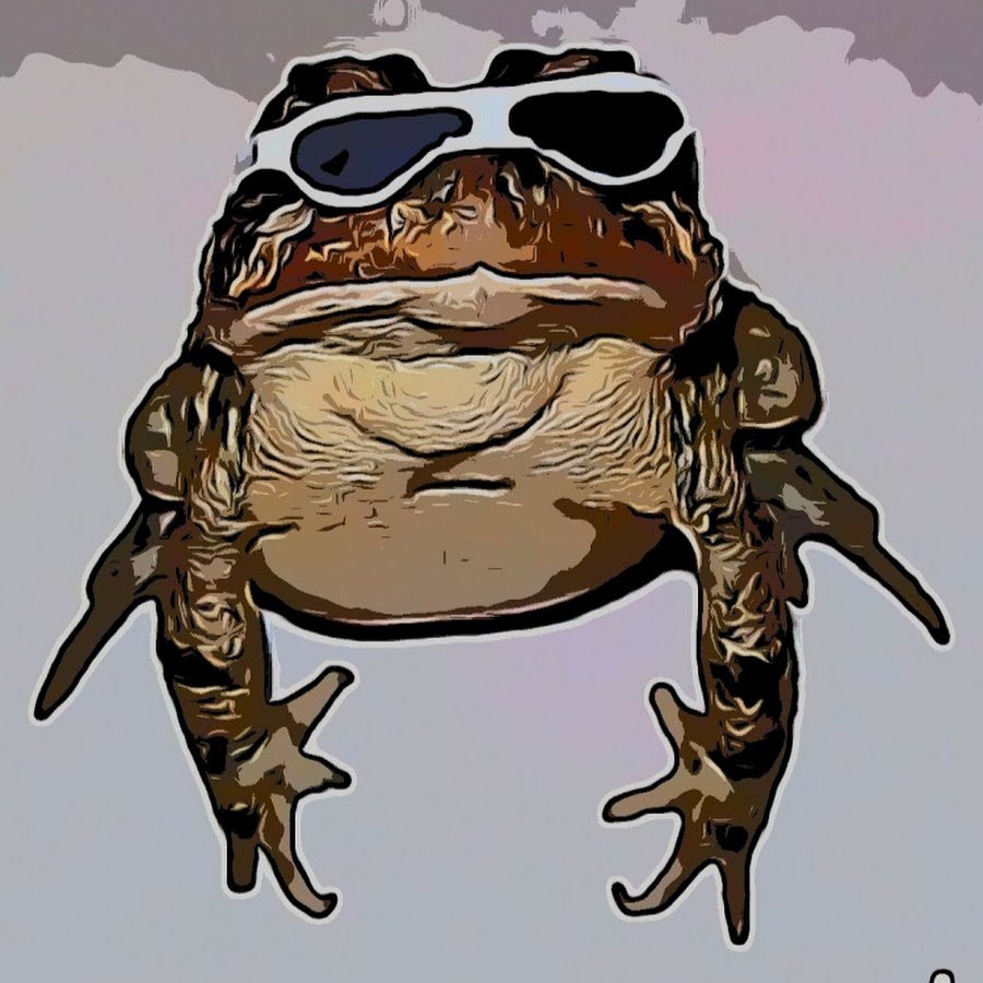 Крутая лягушка