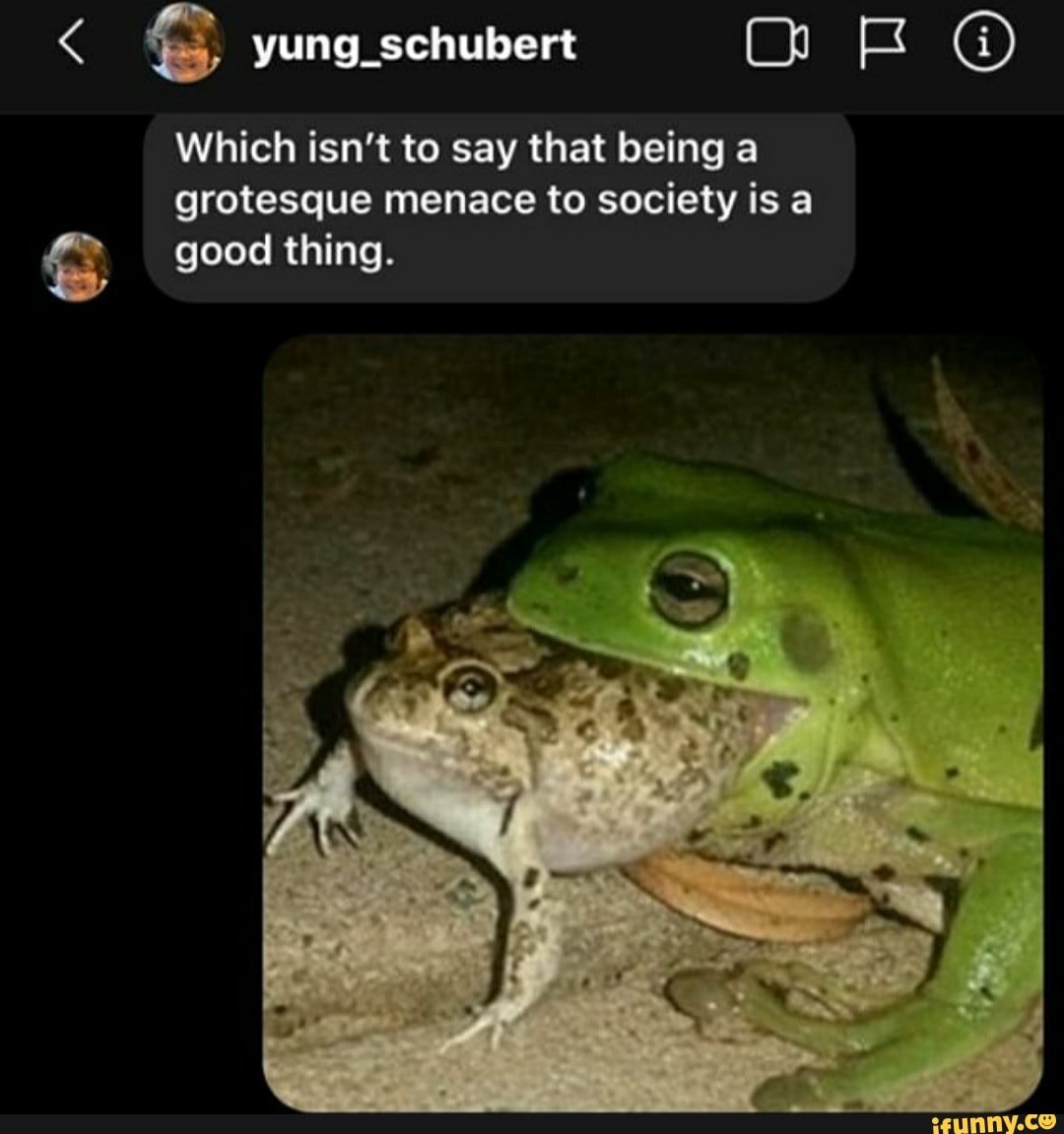 Эстетичные лягушки