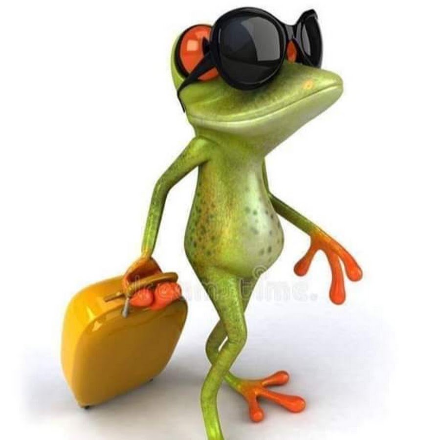 Лягушка с выпученными глазами