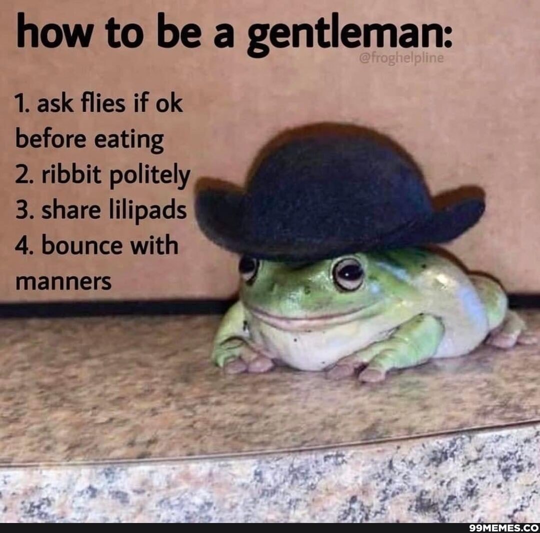 Жаба в шляпе