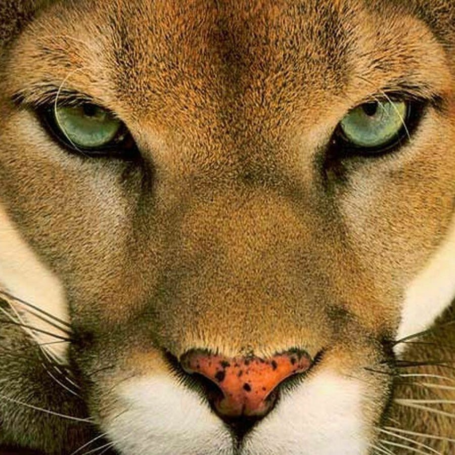 Алена Стафийчук Ростов