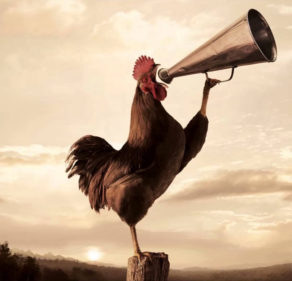 Георгий петухов Нижний Новгород