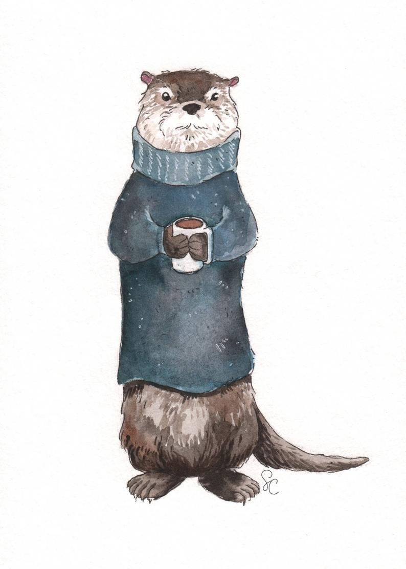 Зарисовки выдра