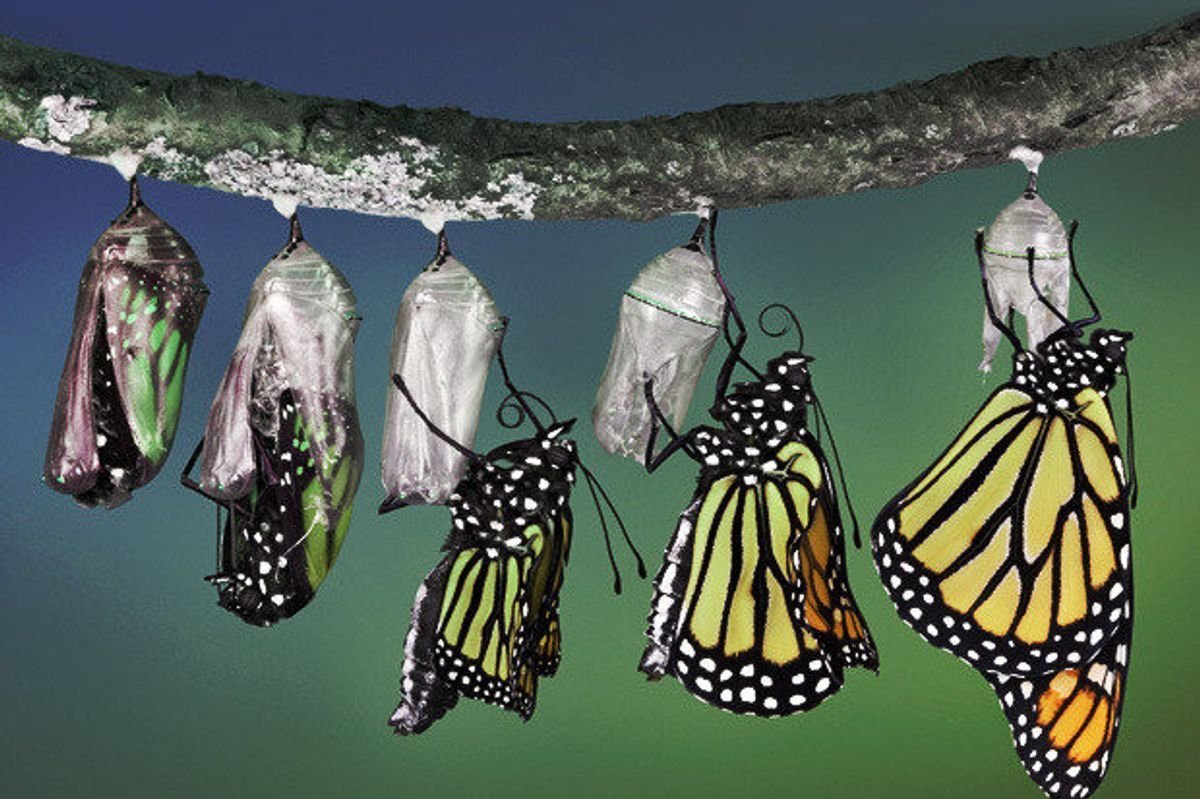 Сидни Хэнсон Sydney Hanson