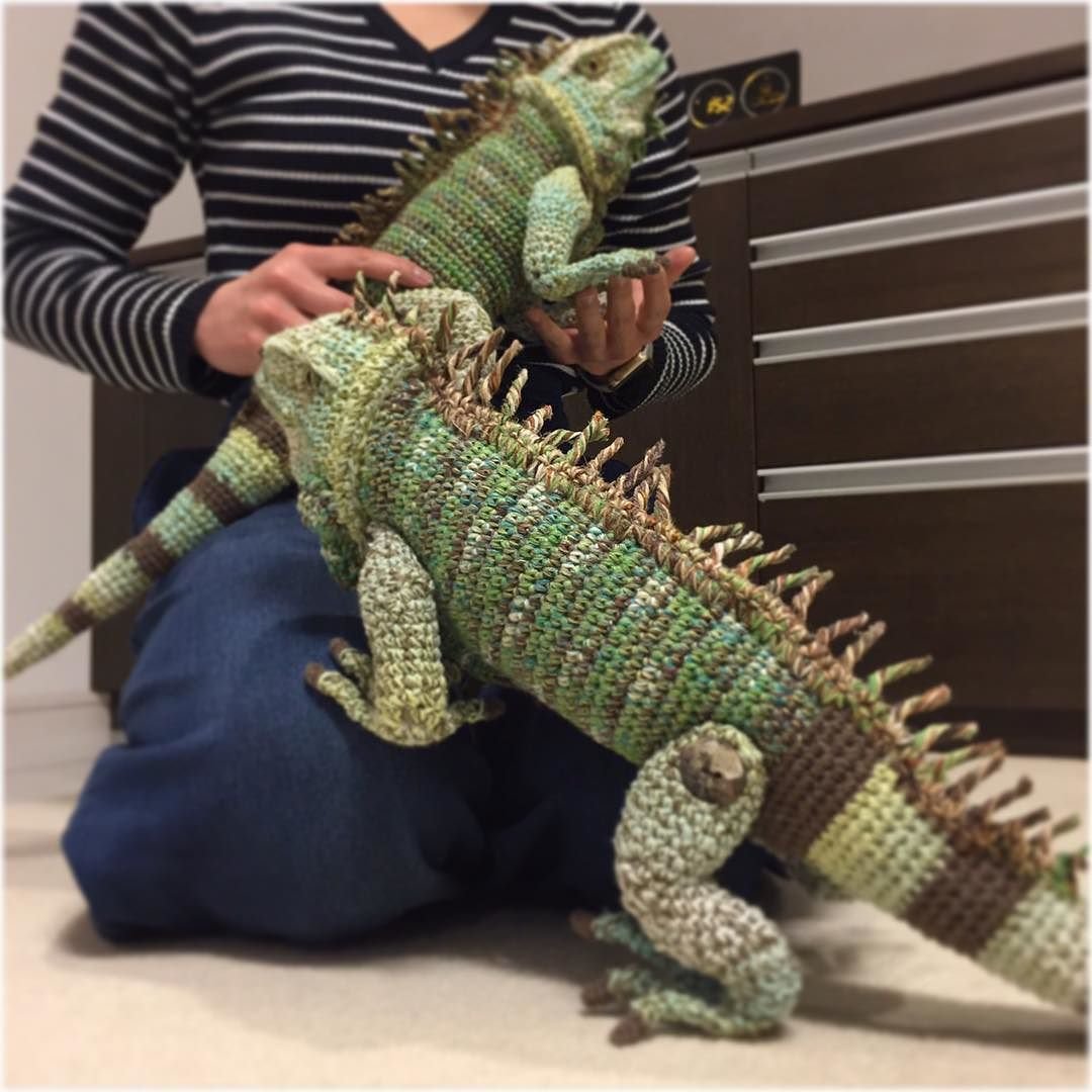 Игуана обыкновенная красная