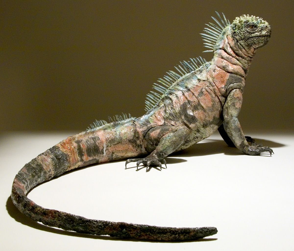 Варан с шипами на спине