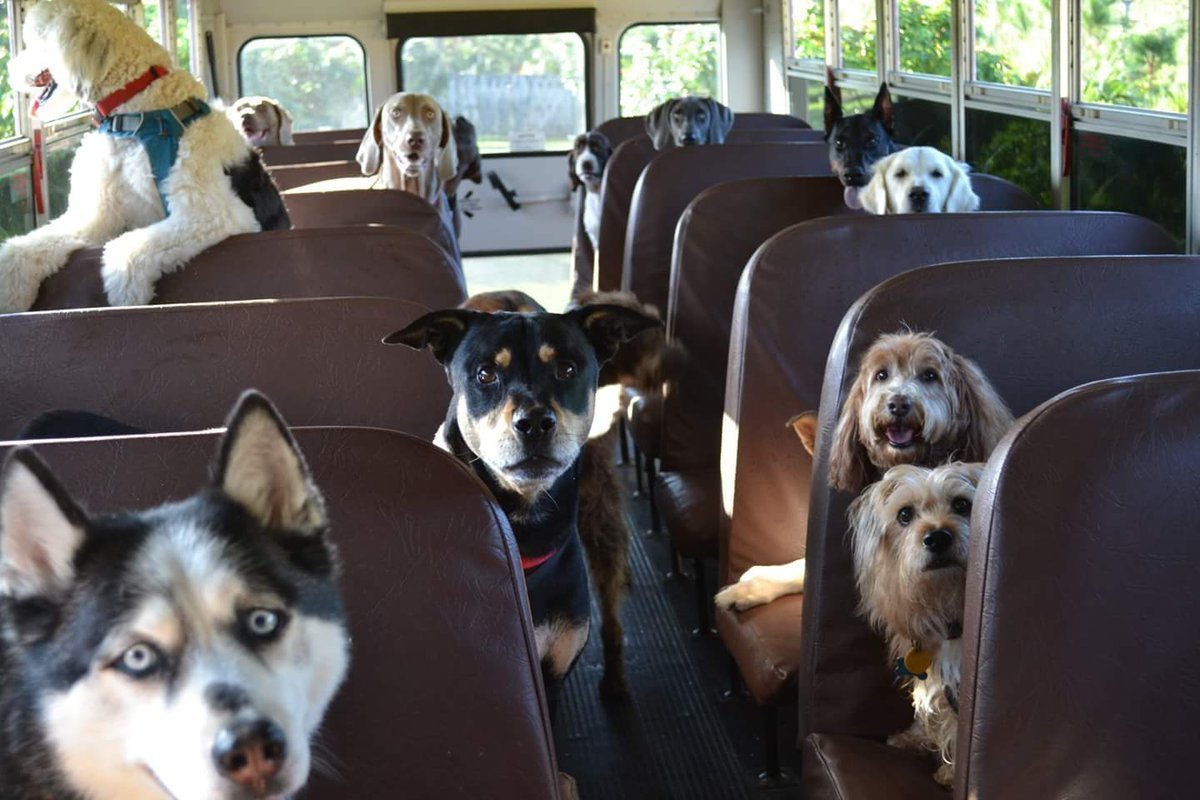 Фольксваген Жук лимузин