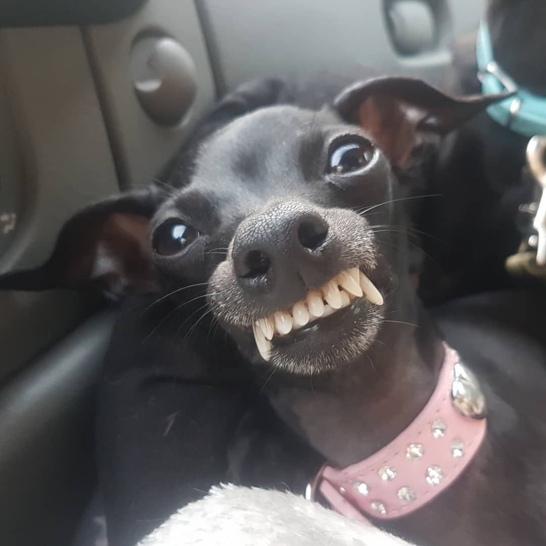 Hummer лимузин