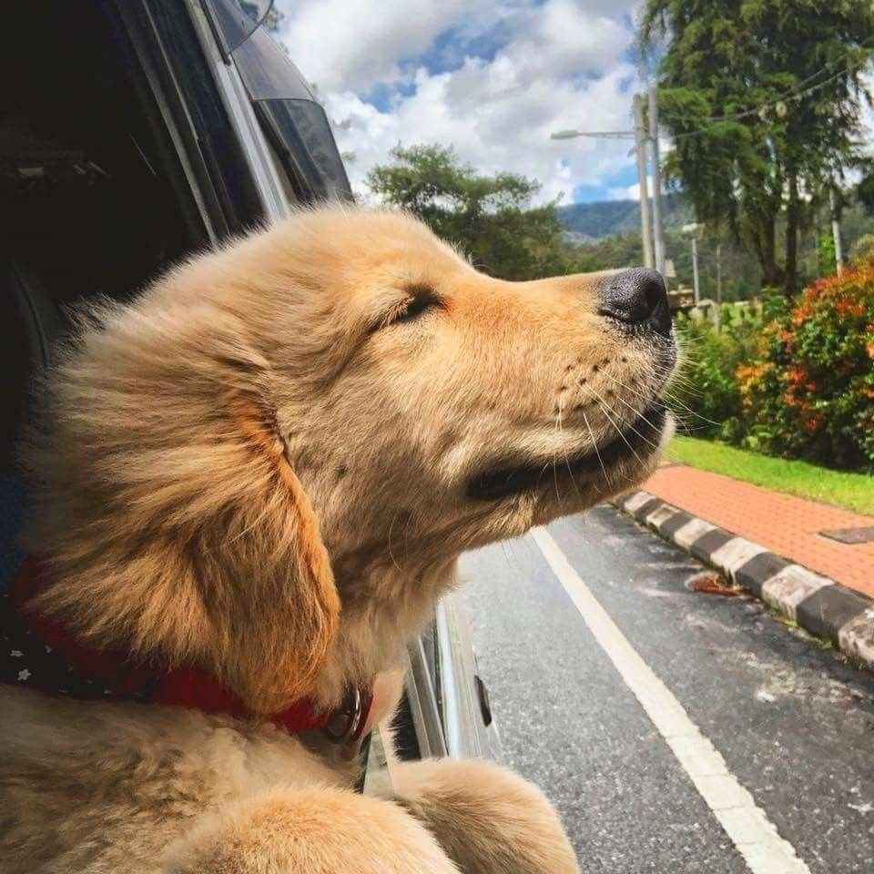 Хаммер h3 лимузин