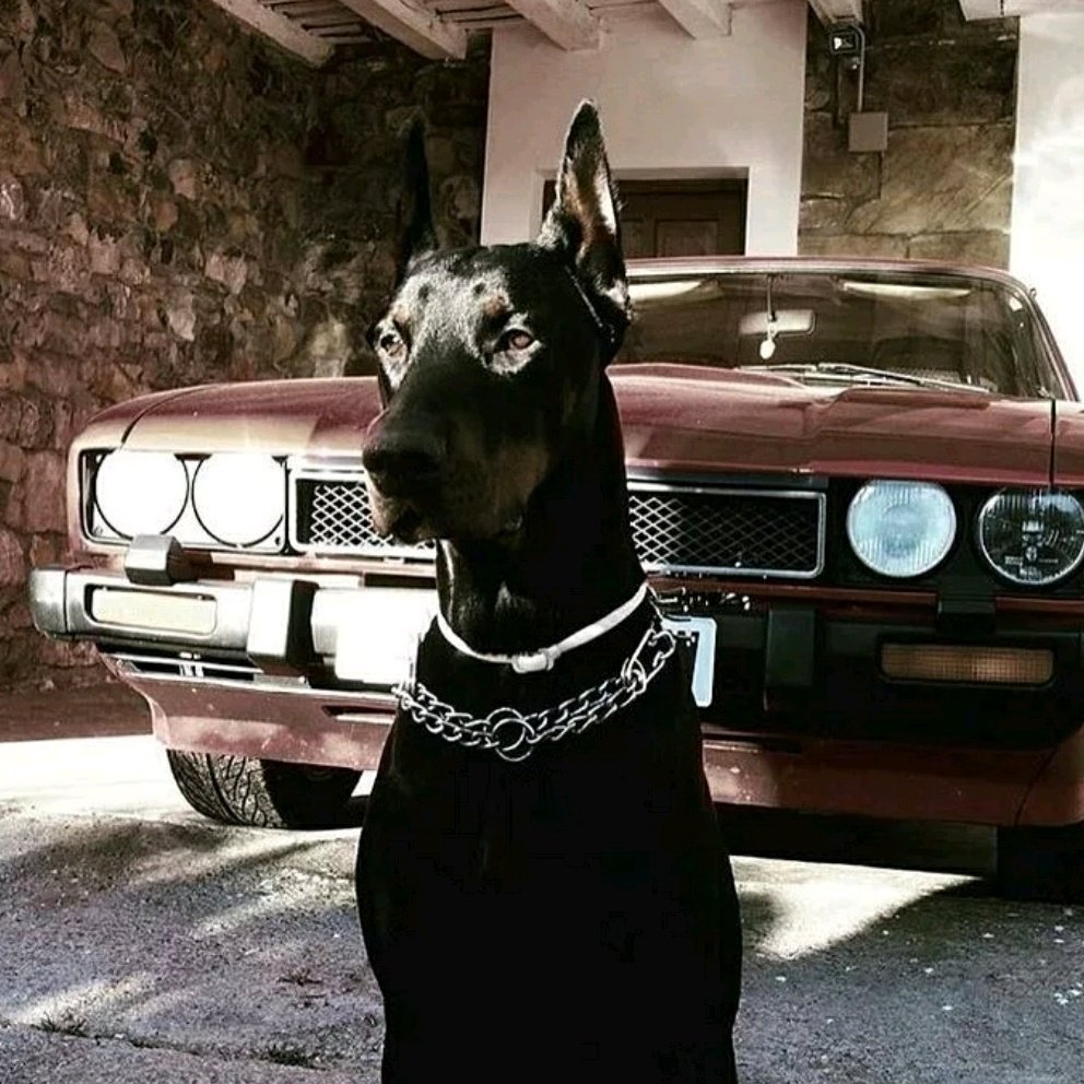 Роллс Ройс Фантом 8 лимузин