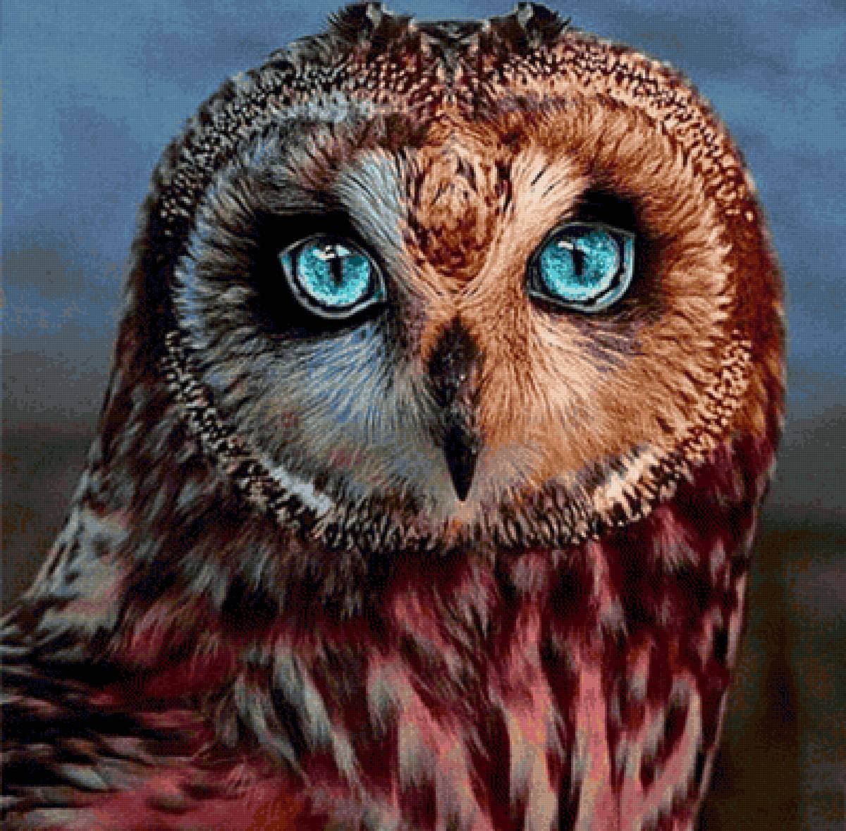 Самые красивые Совы