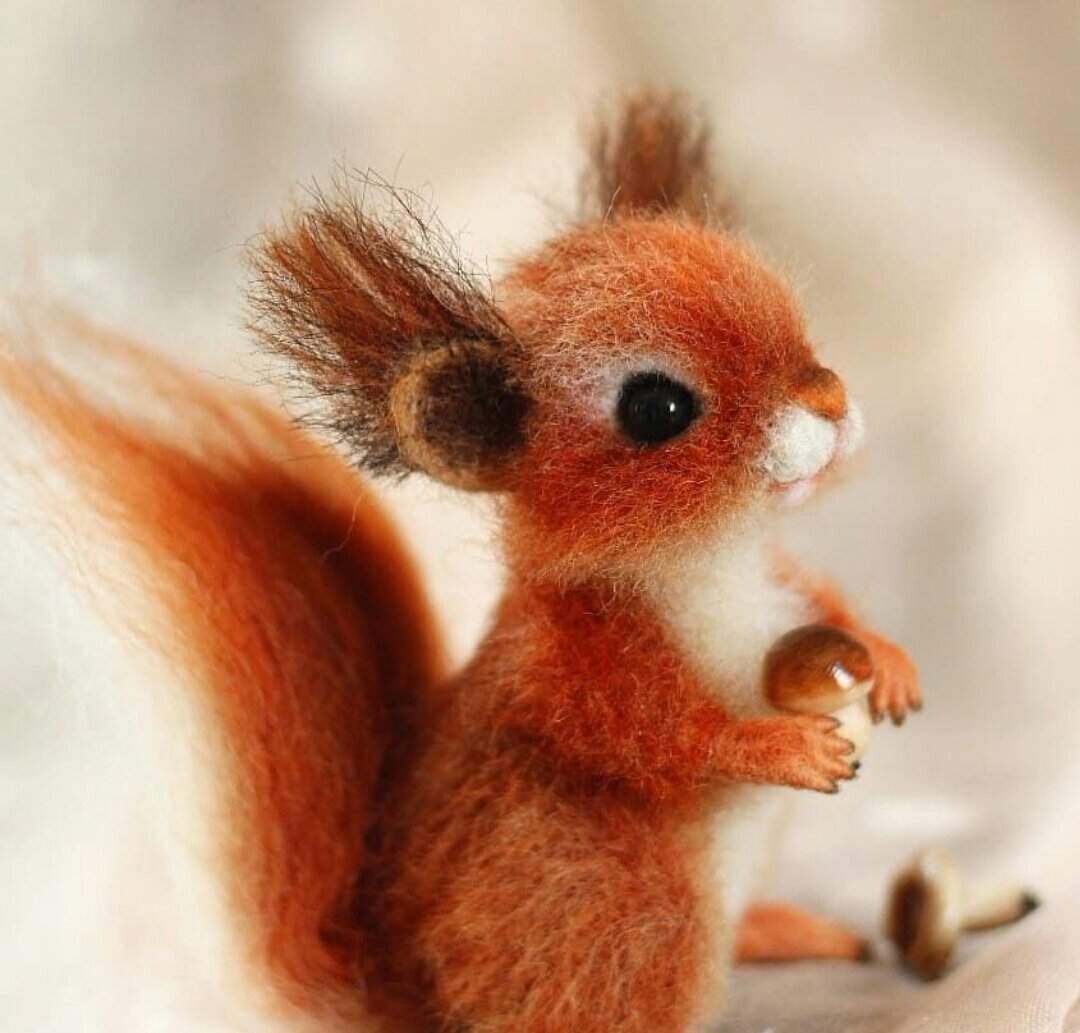 Фелтинг белка