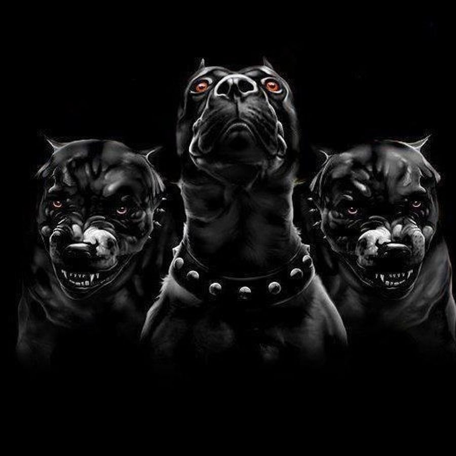 Стафф на черном фоне