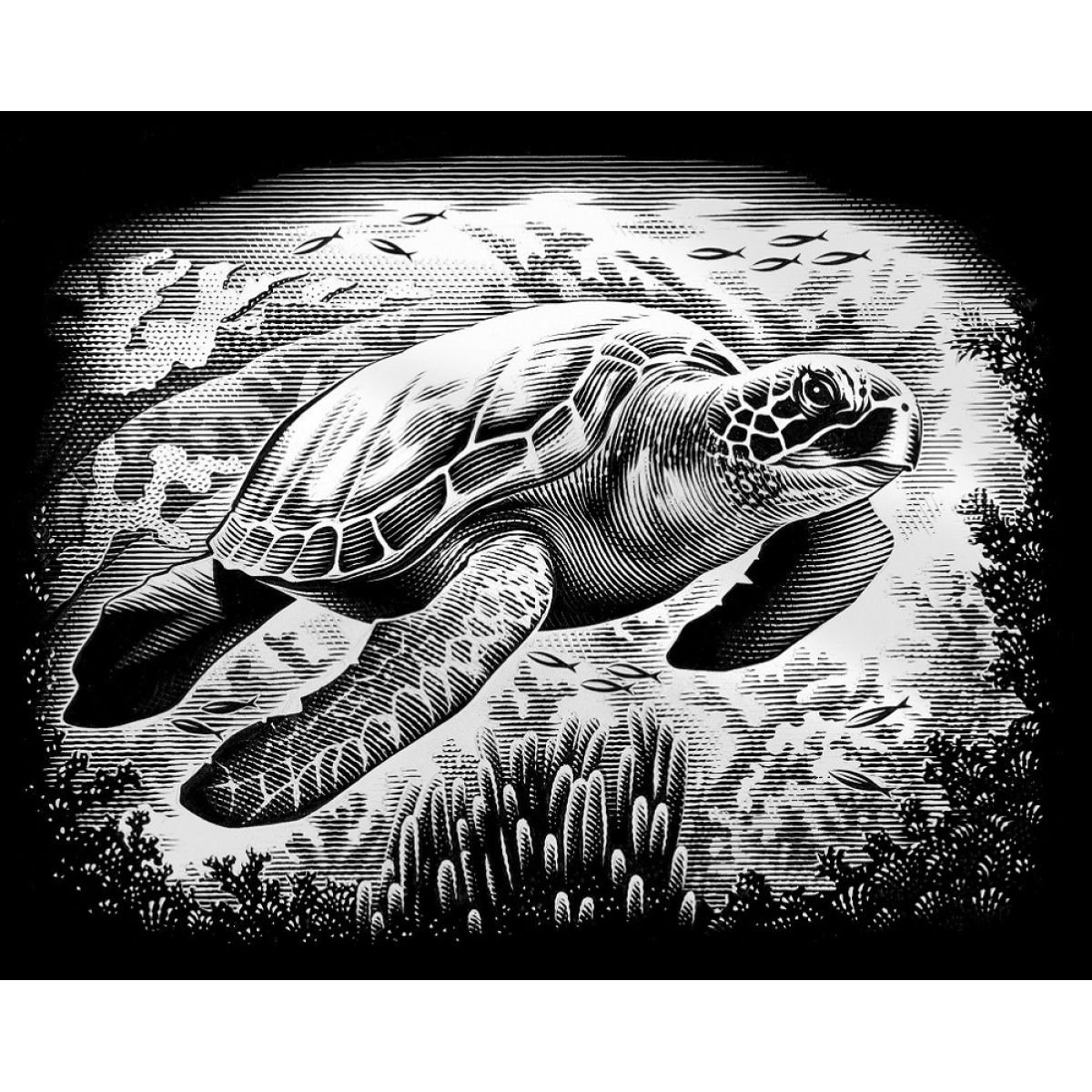 Морская черепаха офорт