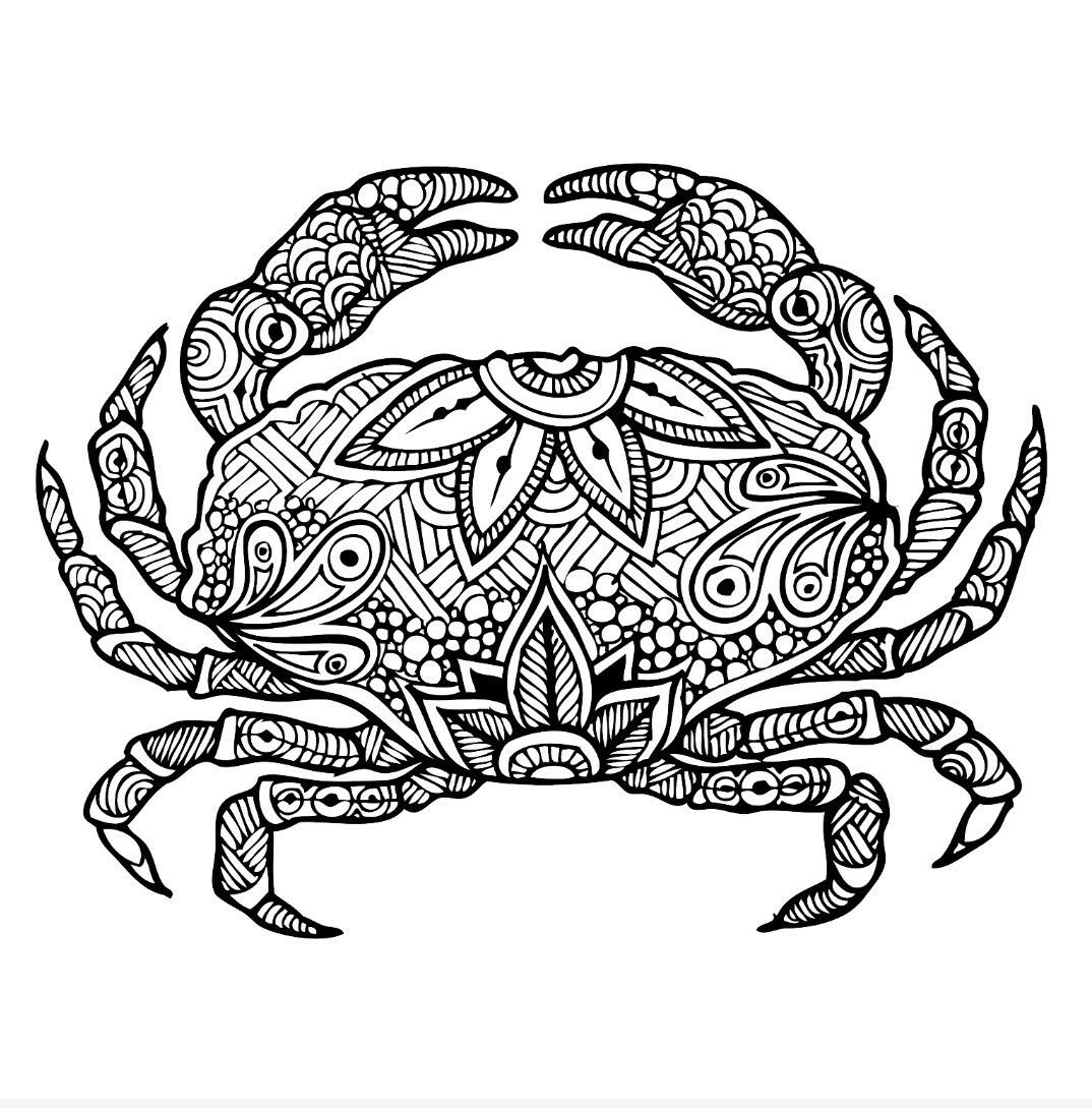 Раскраска антистресс черепаха