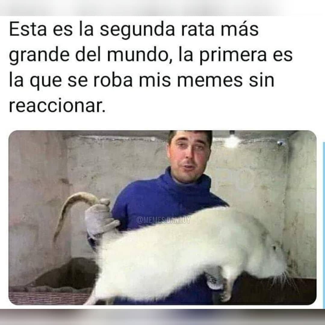 Крыса Босави