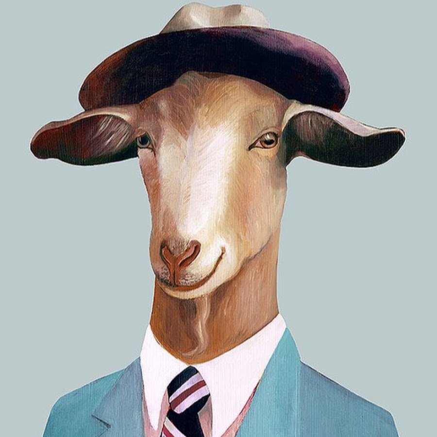 Коза в шляпе