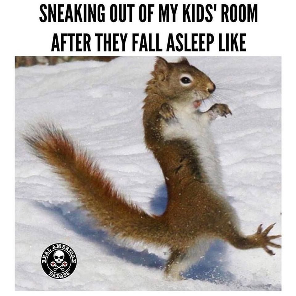 Белка показывает фак