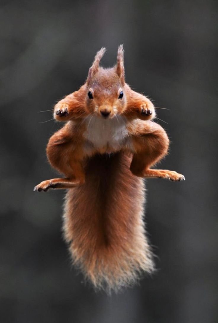 Ура пятница