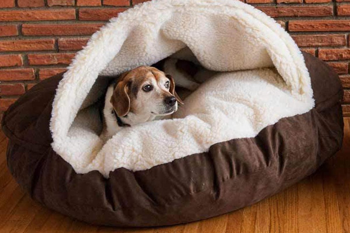 Snoozer cozy Cave Dog Bed