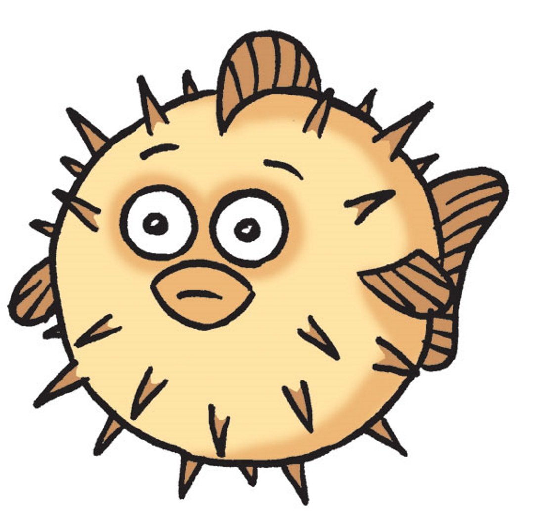 Морской еж для детей