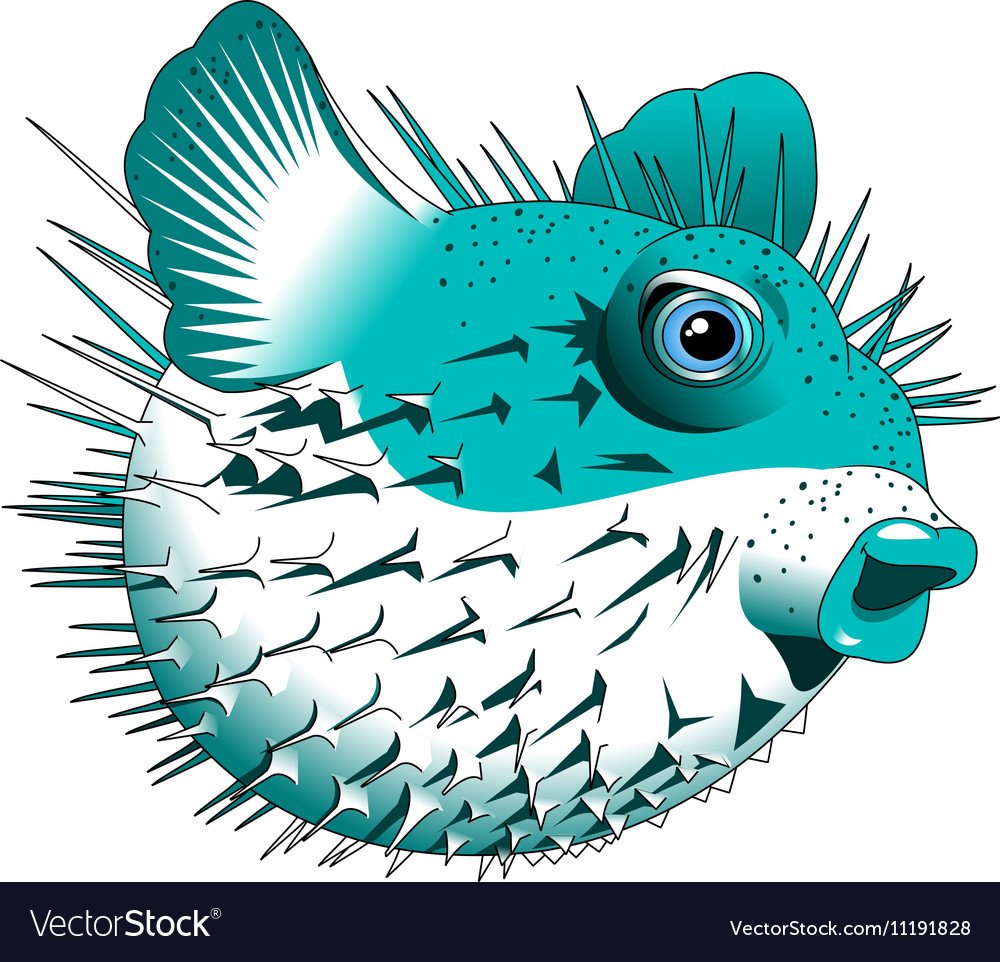 Рыба еж для детей