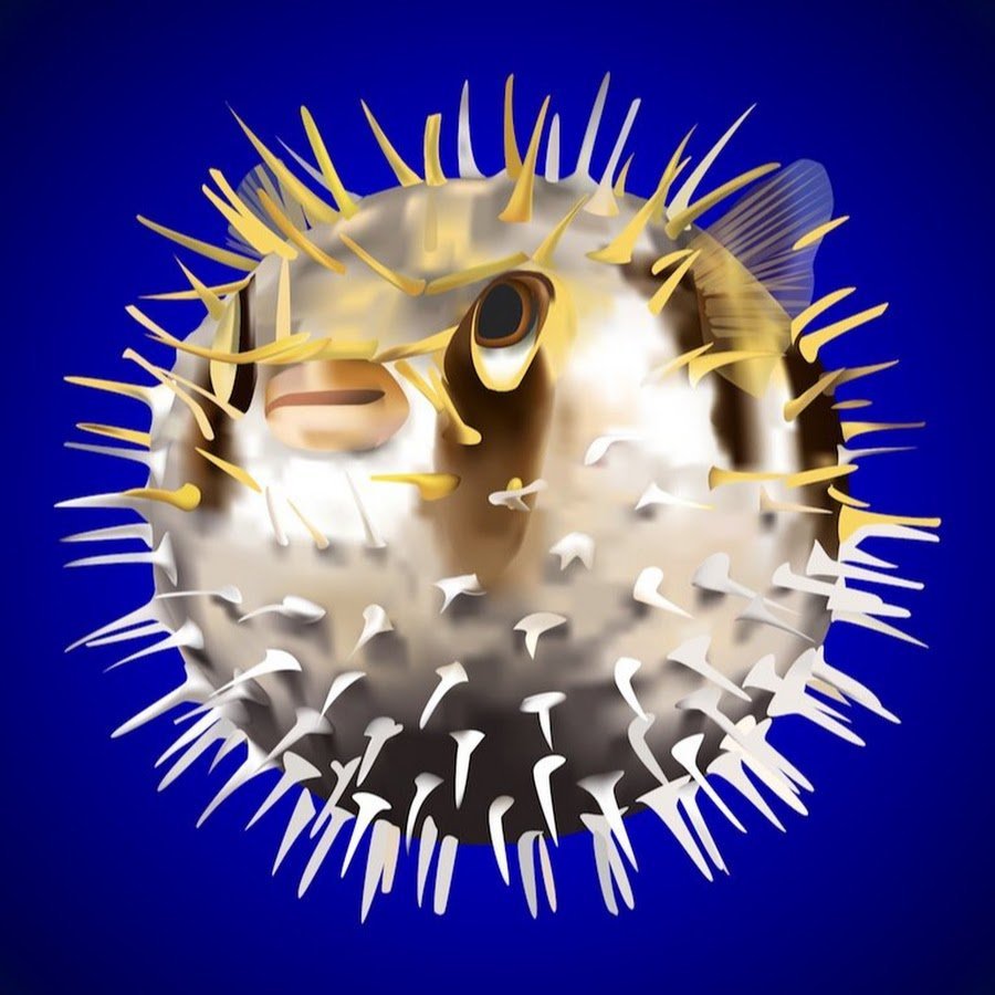 Длинноиглая рыба-ёж